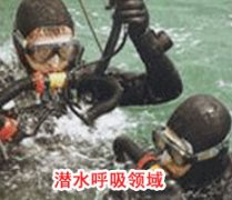 成功榴莲视频APP成人版官网